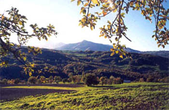 l'Appennino dal podere